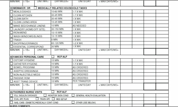 Nursing Care Plan Template Australia