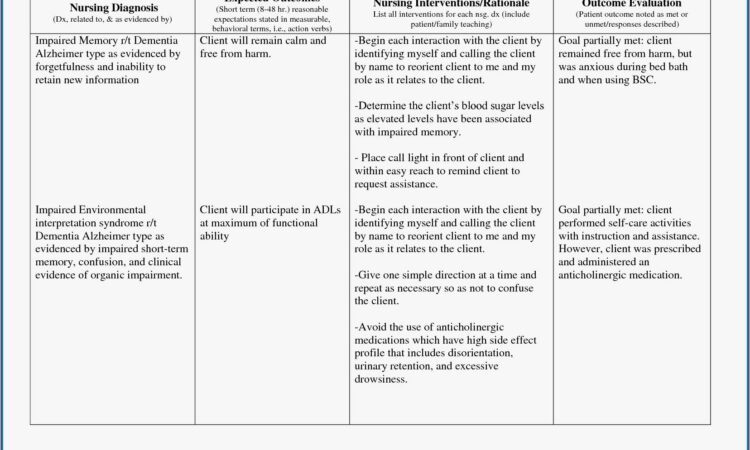 Nursing Care Plan Template Dementia