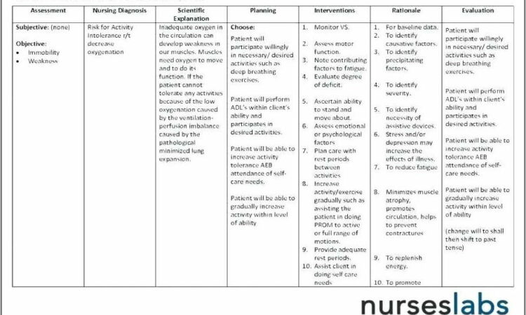 Nursing Care Plans Templates