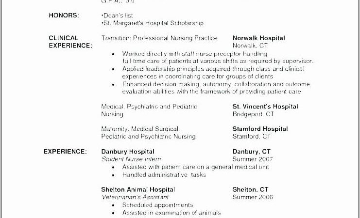 Nursing Curriculum Vitae Samples