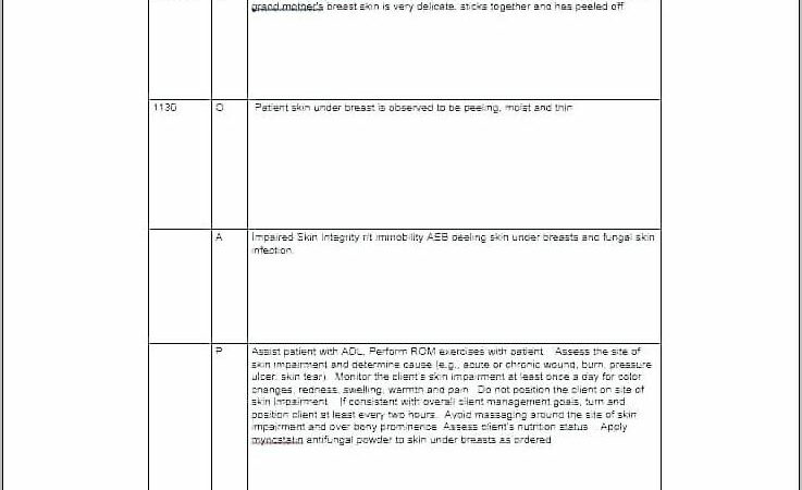 Nursing Home Progress Notes Template