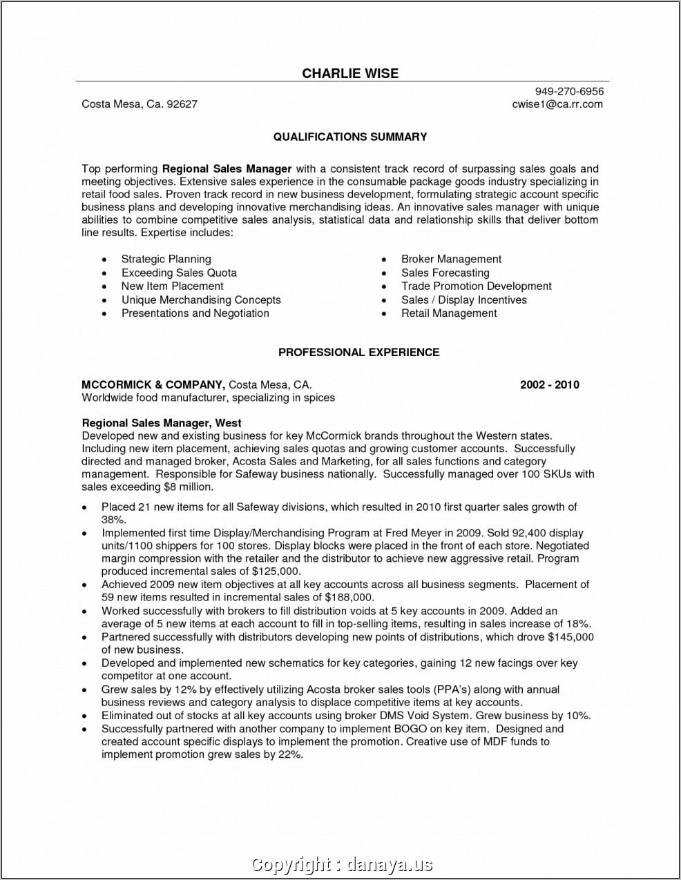 Nursing Professional Summary Resume Example