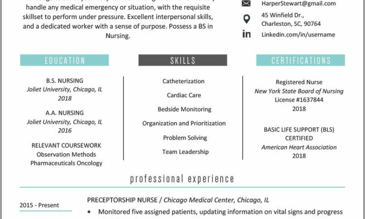 Nursing Resume Examples Free