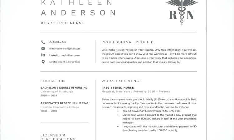 Nursing Resume Templates Free