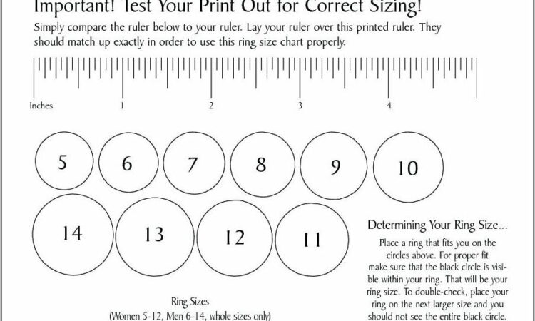 O Ring Size Chart Printable