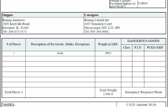 Ocean Bill Of Lading Form Pdf