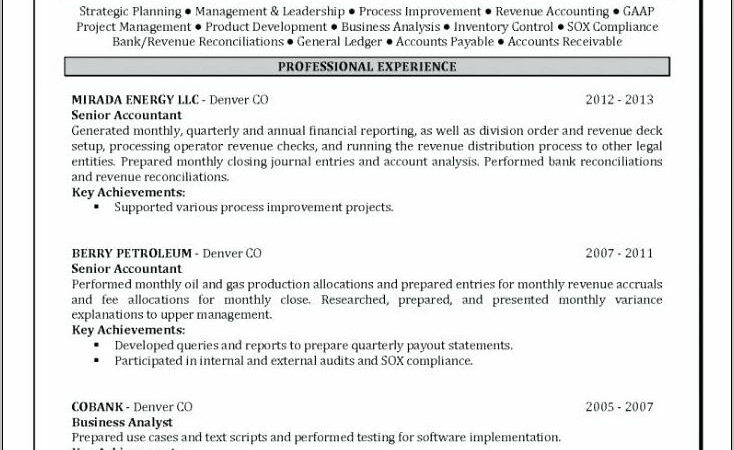 Oil And Gas Industry Resume Template