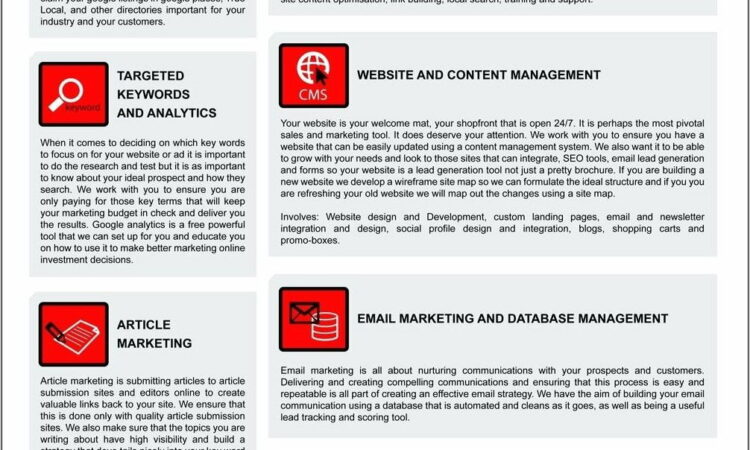 Online Marketing Plan Template Pdf