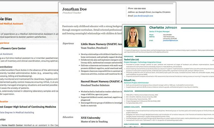 Online Resume Builder For Experienced Free Download