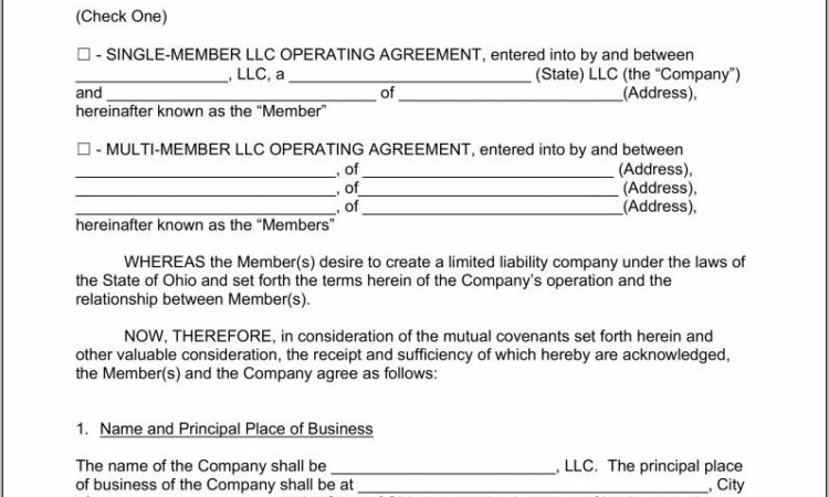 Operating Agreement For Llc Ohio Template