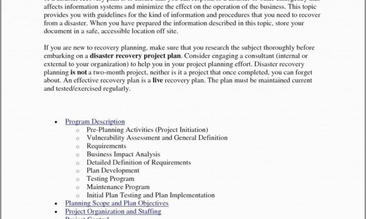 Operations Business Plan Sample