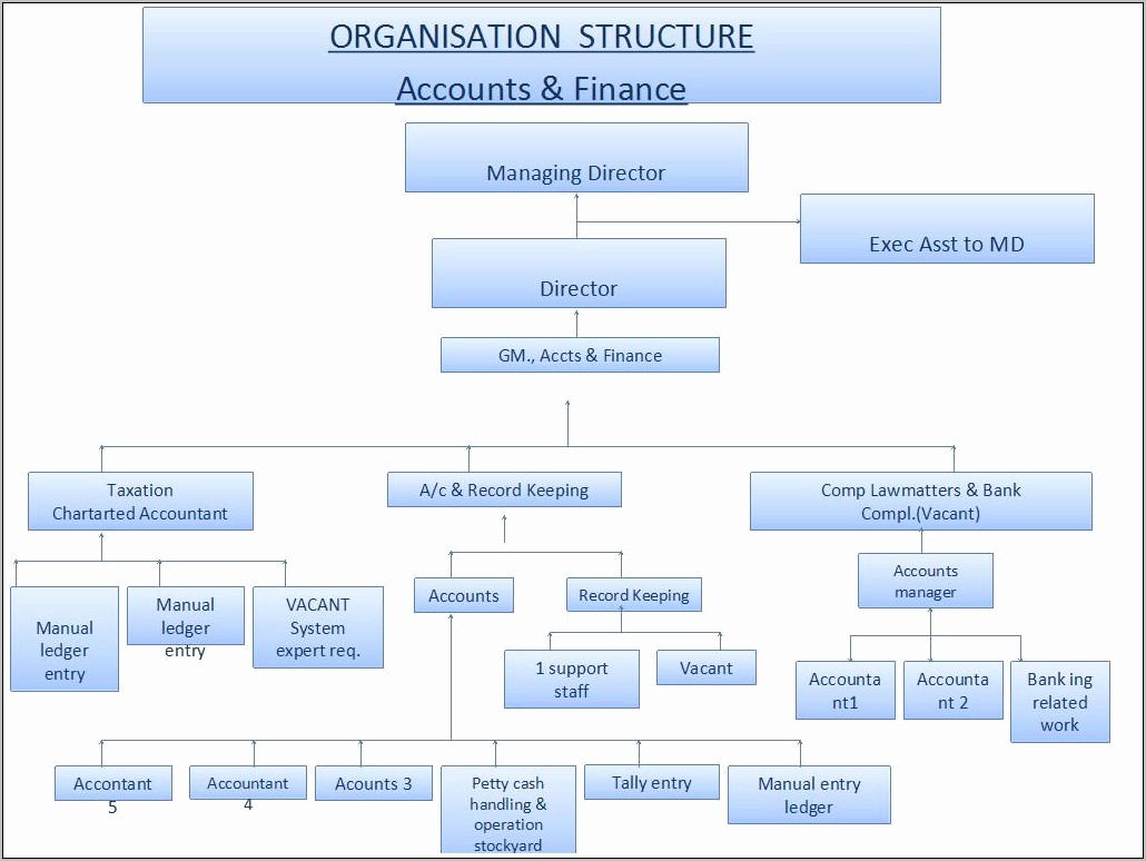 Organisation Chart Template Ppt