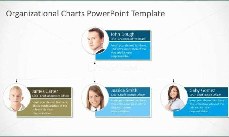 Organization Chart Template Ppt Free Download