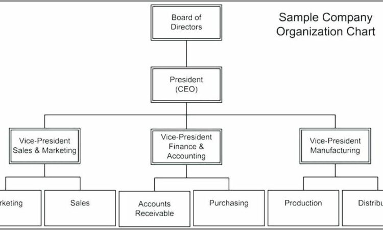 Organization Chart Template Word Download