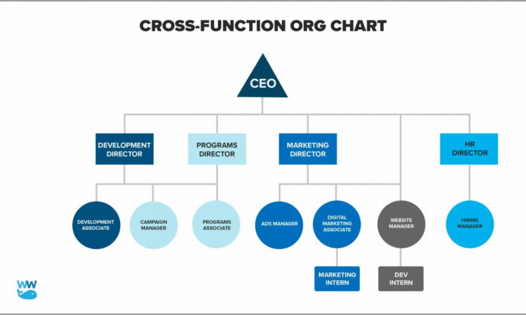 Organization Structure Templates Word