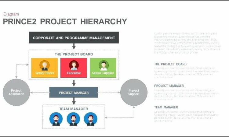 Organizational Chart And Hierarchy Template Download