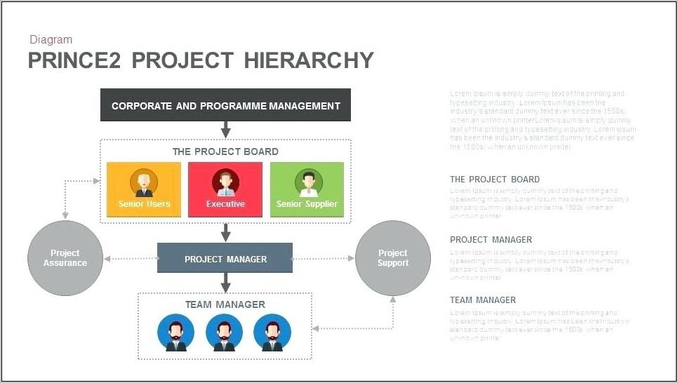 Organizational Chart And Hierarchy Template Download