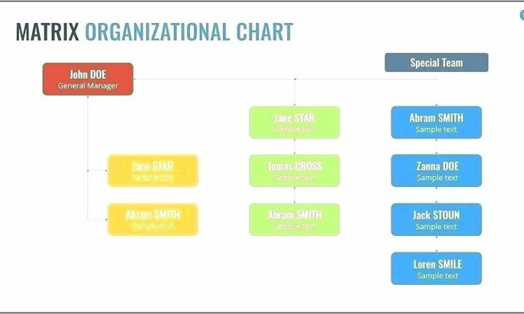 Organizational Chart Templates Mac