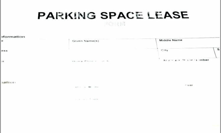 Parking Space Lease Agreement Sample