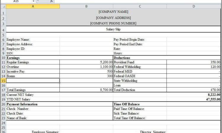 Pastel Payroll Payslip Sample