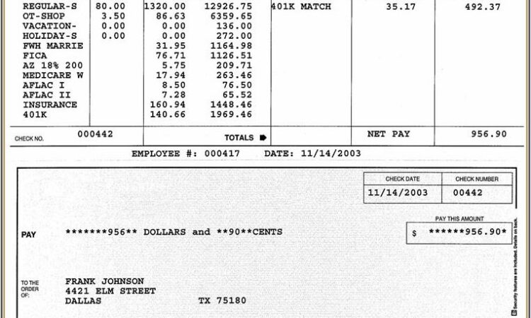 Pay Stub Examples Pdf