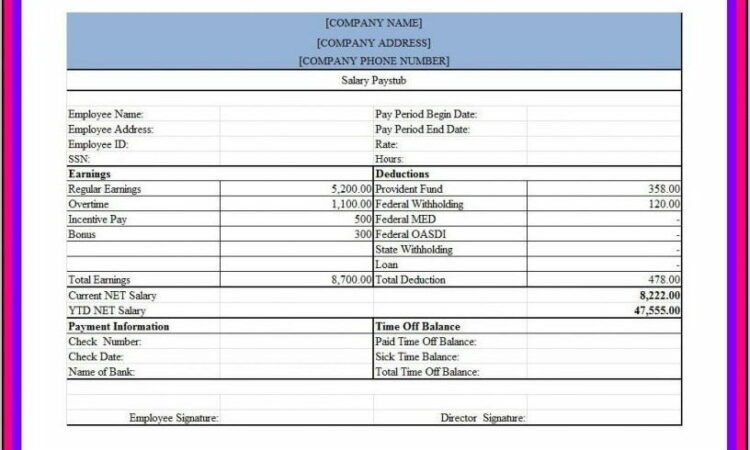 Pay Stub Format Free