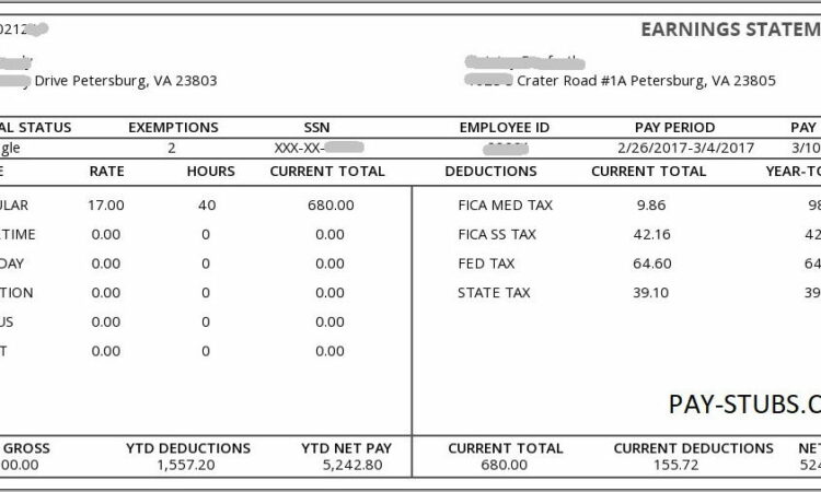 Pay Stub Sample Pdf