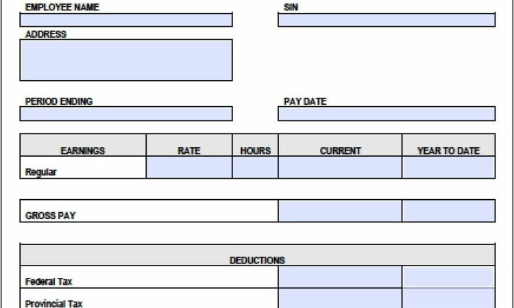 Pay Stub Template Alberta Canada