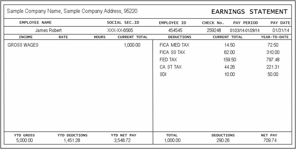Pay Stub Template Word Document