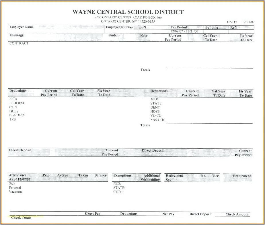 Pay Stubs Template Pdf