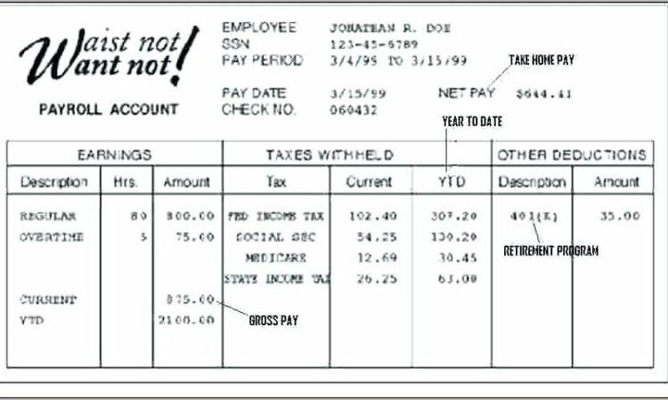 Payroll Stub Template Canada