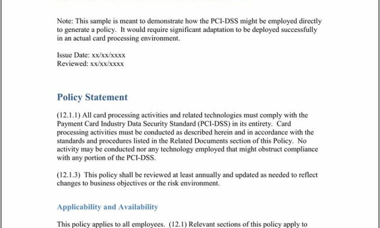 Pci Dss Sample Policy