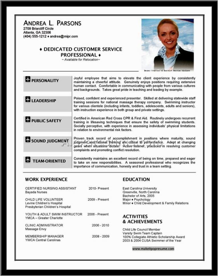 Pilot Resume Template Word