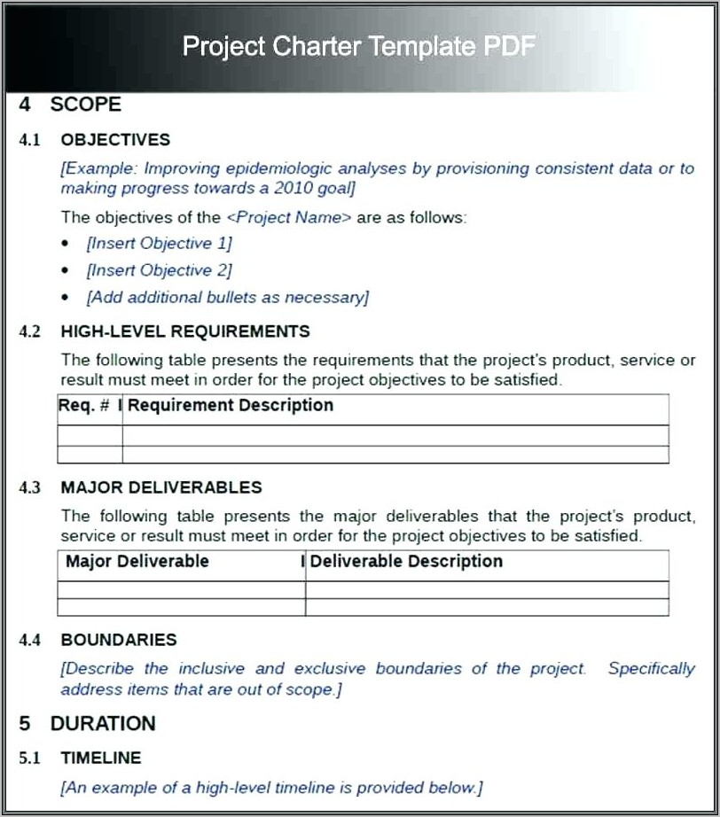 Pmo Project Charter Template