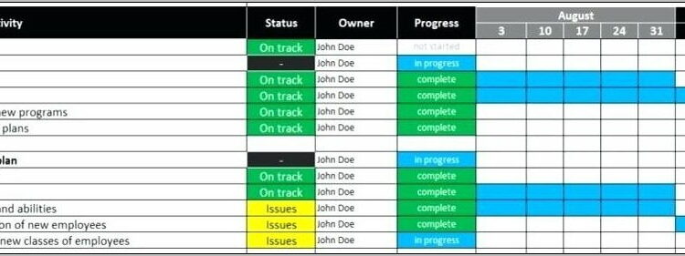 Post Acquisition Integration Plan Template