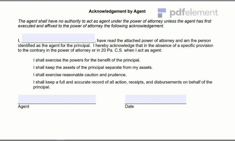 Power Of Attorney Paperwork Pa (107)