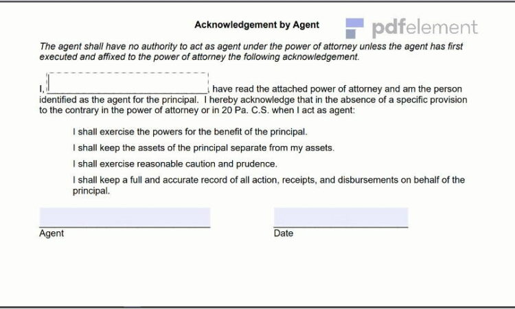 Power Of Attorney Paperwork Pa (121)