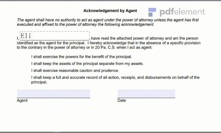 Power Of Attorney Paperwork Pa (147)