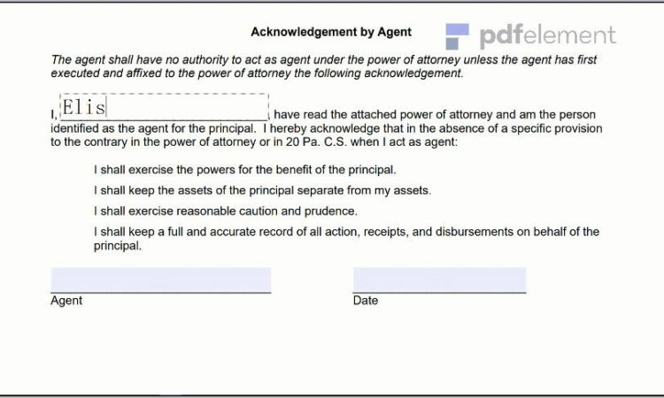 Power Of Attorney Paperwork Pa (149)