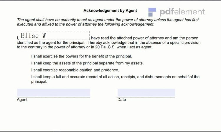 Power Of Attorney Paperwork Pa (169)