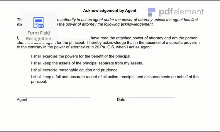 Power Of Attorney Paperwork Pa (17)