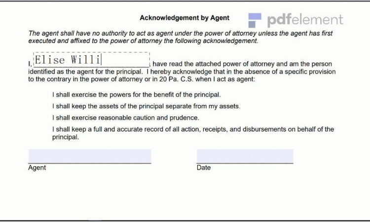 Power Of Attorney Paperwork Pa (189)