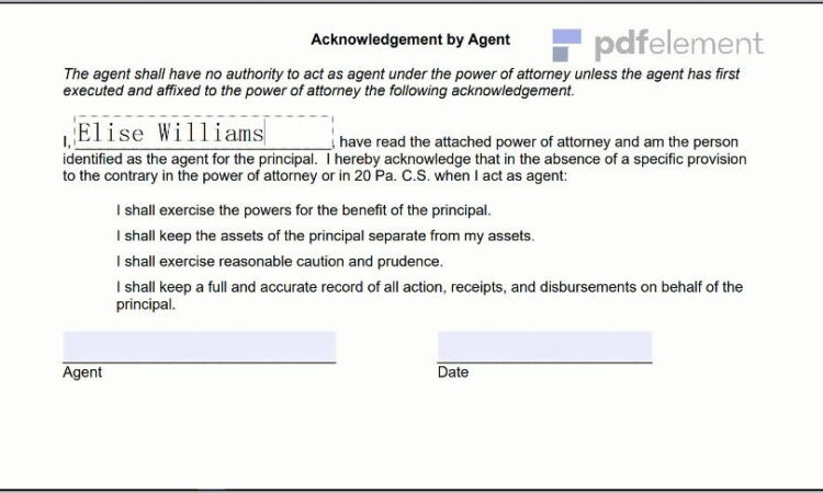 Power Of Attorney Paperwork Pa (193)