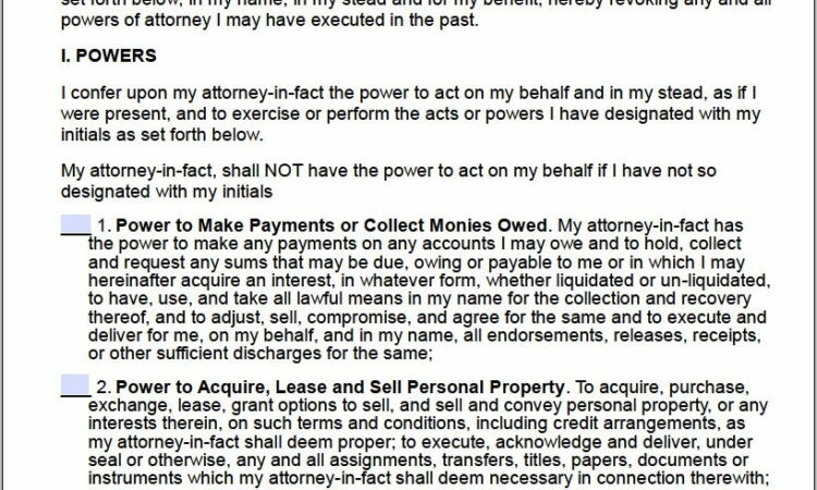 Power Of Attorney Template General