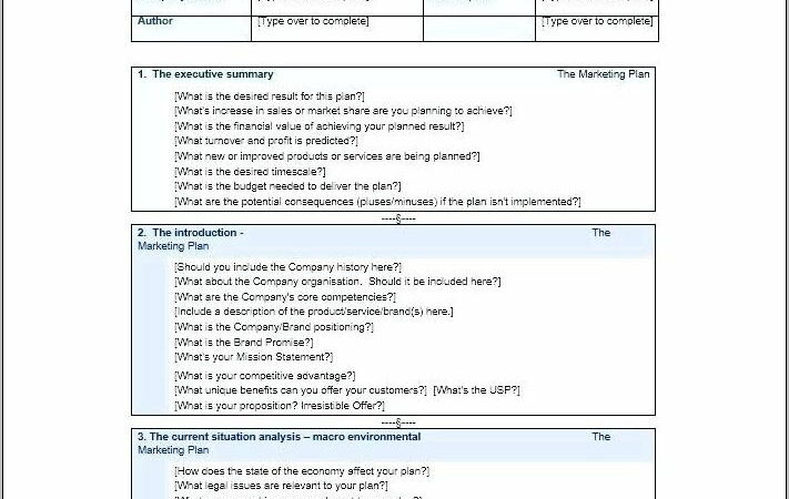 Pre Launch Marketing Plan Template