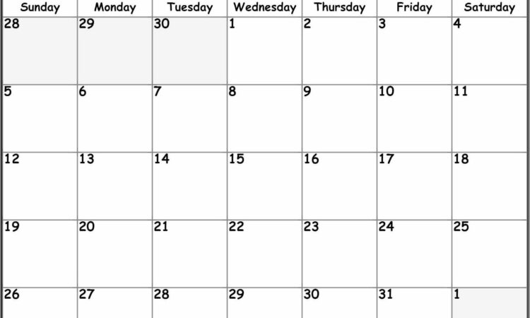 Printable Blank Calendar Templates Free