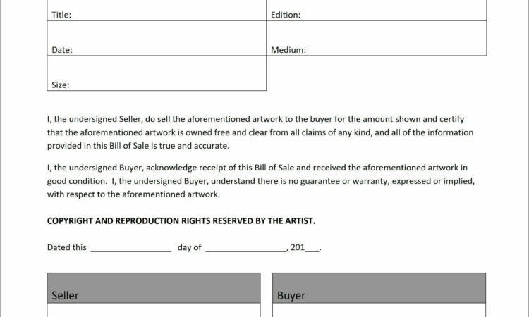 Private Car Sale Invoice Sample