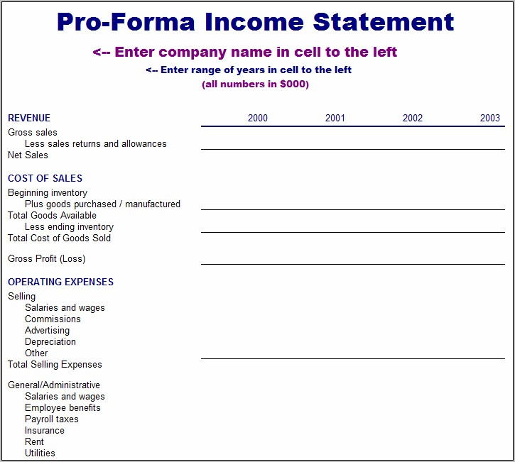 Pro Forma Annual Profit And Loss Statement