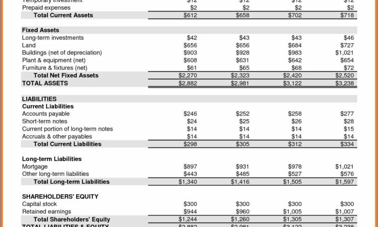 Pro Forma Financial Statement Template