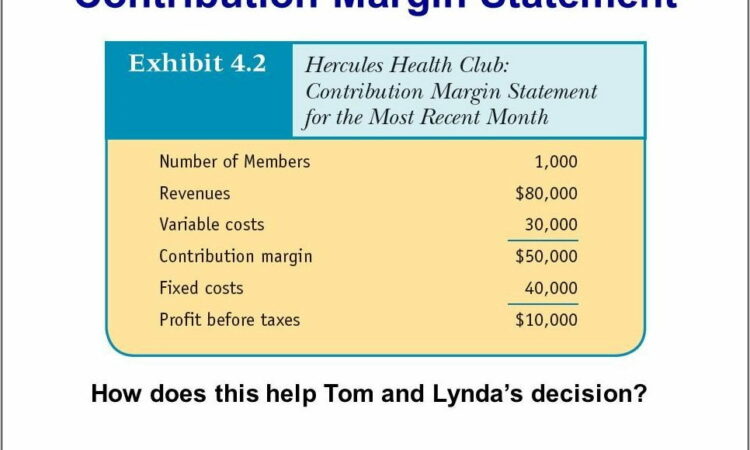 Pro Forma Financial Statements Format